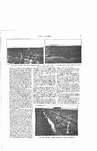LIVRE D OR DE L ORANIE_000014
